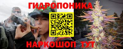 ПСИЛОЦИБИНОВЫЕ ГРИБЫ Бердск