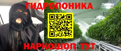 ПСИЛОЦИБИНОВЫЕ ГРИБЫ Бердск