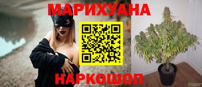 ПСИЛОЦИБИНОВЫЕ ГРИБЫ Бердск
