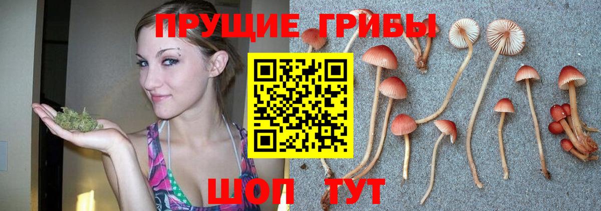 Красноярск  Галлюциногенные грибы GOLDEN TEACHER  Псилоцибиновые грибы MAGIC MUSHROOMS  Вход с VPN 